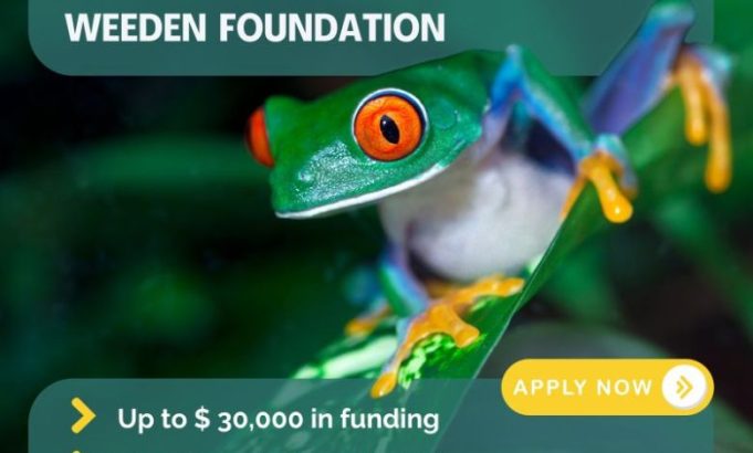 weeden-foundation-opens-fall-2026-grant-cycle-with-funding-of-up-to-$30,000-for-environmental-conservation-projects