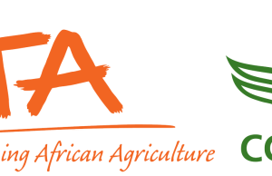 International Institute of Tropical Agriculture Announces Graduate Finance Internship Opportunities in Nigeria – Apply By 17 July 2026 international-institute-of-tropical-agriculture-announces-graduate-finance-internship-opportunities-in-nigeria-–-apply-by-17-july-2026