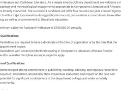 Wellesley College Announces Faculty Opening in Africana Studies and African American Literature: Tenure-Track Assistant Professor Position Available for Fall 2027 Academic Year wellesley-college-announces-faculty-opening-in-africana-studies-and-african-american-literature:-tenure-track-assistant-professor-position-available-for-fall-2027-academic-year