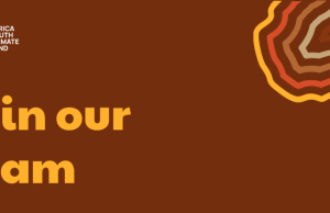 Green Africa Youth Organization Announces Three New Remote Career Opportunities to Strengthen Youth Climate Action Across Africa – Apply By 7 August 2026 green-africa-youth-organization-announces-three-new-remote-career-opportunities-to-strengthen-youth-climate-action-across-africa-–-apply-by-7-august-2026