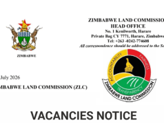 Looking for a Government Job in Zimbabwe? Zimbabwe Land Commission Opens 28 Posts Across the Country looking-for-a-government-job-in-zimbabwe?-zimbabwe-land-commission-opens-28-posts-across-the-country