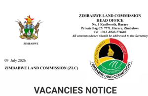 Looking for a Government Job in Zimbabwe? Zimbabwe Land Commission Opens 28 Posts Across the Country looking-for-a-government-job-in-zimbabwe?-zimbabwe-land-commission-opens-28-posts-across-the-country