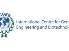 International Centre for Genetic Engineering and Biotechnology (ICGEB) September 2026 Fellowship Call Opens for PhD, Postdoctoral, SMART and Short-Term Research Opportunities international-centre-for-genetic-engineering-and-biotechnology-(icgeb)-september-2026-fellowship-call-opens-for-phd,-postdoctoral,-smart-and-short-term-research-opportunities
