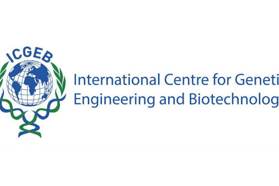 international-centre-for-genetic-engineering-and-biotechnology-(icgeb)-september-2026-fellowship-call-opens-for-phd,-postdoctoral,-smart-and-short-term-research-opportunities international-centre-for-genetic-engineering-and-biotechnology-(icgeb)-september-2026-fellowship-call-opens-for-phd,-postdoctoral,-smart-and-short-term-research-opportunities