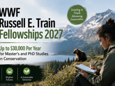 WWF Russell E. Train Fellowships 2027: Up to $30,000 Per Year for Master’s and PhD Studies in Conservation wwf-russell-e.-train-fellowships-2027:-up-to-$30,000-per-year-for-master’s-and-phd-studies-in-conservation