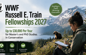 WWF Russell E. Train Fellowships 2027: Up to $30,000 Per Year for Master’s and PhD Studies in Conservation wwf-russell-e.-train-fellowships-2027:-up-to-$30,000-per-year-for-master’s-and-phd-studies-in-conservation