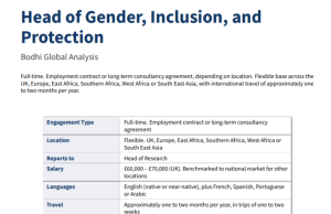 Bodhi Global Analysis Is Hiring a Head of Gender, Inclusion and Protection — Salary Up to £70,000: Be based flexibly in the UK, Europe, East Africa, Southern Africa, West Africa or South East Asia bodhi-global-analysis-is-hiring-a-head-of-gender,-inclusion-and-protection-—-salary-up-to-70,000:-be-based-flexibly-in-the-uk,-europe,-east-africa,-southern-africa,-west-africa-or-south-east-asia