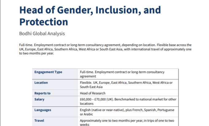 bodhi-global-analysis-is-hiring-a-head-of-gender,-inclusion-and-protection-—-salary-up-to-70,000:-be-based-flexibly-in-the-uk,-europe,-east-africa,-southern-africa,-west-africa-or-south-east-asia