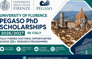 University of Florence PEGASO PhD Scholarships 2026/2027 in Italy: Fully Funded Doctoral Opportunities Across 30+ Research Programmes university-of-florence-pegaso-phd-scholarships-2026/2027-in-italy:-fully-funded-doctoral-opportunities-across-30+-research-programmes