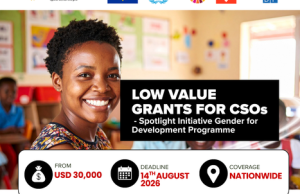 UNDP Uganda Low Value Grants for Civil Society Organizations (CSOs) Under Spotlight Initiative 2.0 undp-uganda-low-value-grants-for-civil-society-organizations-(csos)-under-spotlight-initiative-2.0