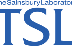 David Sainsbury International MSc Scholarships in Global Plant Health 2026/27: Fully Funded Opportunities for Global South Students david-sainsbury-international-msc-scholarships-in-global-plant-health-2026/27:-fully-funded-opportunities-for-global-south-students