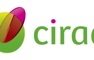CIRAD is Hiring a Research Scientist Position in Remote Sensing for Agricultural Transitions in the Global South: Apply by 16 August 2026 cirad-is-hiring-a-research-scientist-position-in-remote-sensing-for-agricultural-transitions-in-the-global-south:-apply-by-16-august-2026