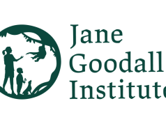 Jane Goodall Institute Social Media Consultant Job 2026: Remote Part-Time Opportunity jane-goodall-institute-social-media-consultant-job-2026:-remote-part-time-opportunity