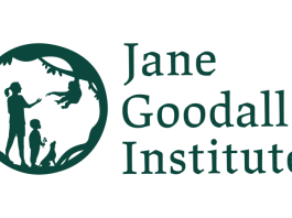 jane-goodall-institute-social-media-consultant-job-2026:-remote-part-time-opportunity