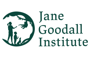 Jane Goodall Institute Social Media Consultant Job 2026: Remote Part-Time Opportunity jane-goodall-institute-social-media-consultant-job-2026:-remote-part-time-opportunity