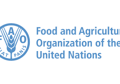 FAO Animal Livestock Production FFS Specialist Vacancy in Kenya 2026 fao-animal-livestock-production-ffs-specialist-vacancy-in-kenya-2026