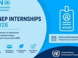 the-united-nations-environment-programme-(unep) -opens-4-internship-opportunities-in-nairobi,-kenya-2026