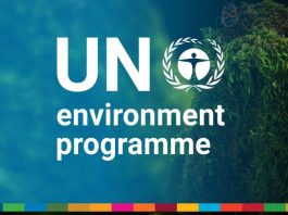 unep-fi-climate-adaptation-and-resilience-internship-2026-in-geneva-or-remote