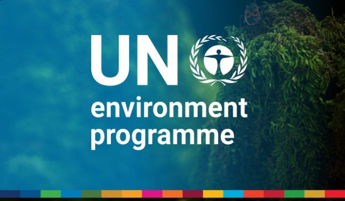 unep-fi-climate-adaptation-and-resilience-internship-2026-in-geneva-or-remote