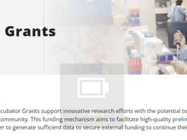 Mito Foundation Incubator Grants 2026: Apply for Up to A$25,000 in Mitochondrial Disease Research Funding mito-foundation-incubator-grants-2026:-apply-for-up-to-a$25,000-in-mitochondrial-disease-research-funding