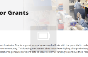 Mito Foundation Incubator Grants 2026: Apply for Up to A$25,000 in Mitochondrial Disease Research Funding mito-foundation-incubator-grants-2026:-apply-for-up-to-a$25,000-in-mitochondrial-disease-research-funding