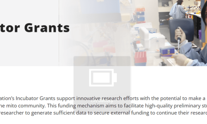 mito-foundation-incubator-grants-2026:-apply-for-up-to-a$25,000-in-mitochondrial-disease-research-funding mito-foundation-incubator-grants-2026:-apply-for-up-to-a$25,000-in-mitochondrial-disease-research-funding