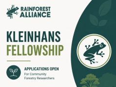 Kleinhans Fellowship for Community Forestry Research 2027 (up to $20,000) kleinhans-fellowship-for-community-forestry-research-2027-(up-to-$20,000)