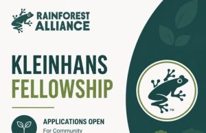 Kleinhans Fellowship for Community Forestry Research 2027 (up to $20,000) kleinhans-fellowship-for-community-forestry-research-2027-(up-to-$20,000)