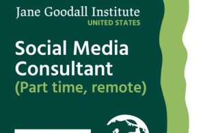 Jane Goodall Institute Hiring Remote Social Media Consultant in 2026 at Up to $50 Per Hour jane-goodall-institute-hiring-remote-social-media-consultant-in-2026-at-up-to-$50-per-hour