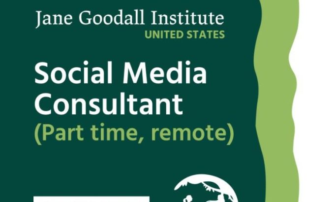 jane-goodall-institute-hiring-remote-social-media-consultant-in-2026-at-up-to-$50-per-hour