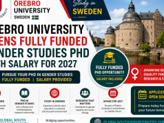 Study in Sweden: Örebro University Opens Fully Funded Gender Studies PhD with Salary for 2027 study-in-sweden:-orebro-university-opens-fully-funded-gender-studies-phd-with-salary-for-2027