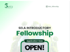 SELA Fellowship 2026: Empower Africa’s Next Generation of Sustainability Leaders with Skills, Mentorship, Networks and Practical Impact Opportunities sela-fellowship-2026:-empower-africa’s-next-generation-of-sustainability-leaders-with-skills,-mentorship,-networks-and-practical-impact-opportunities