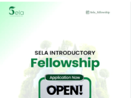 sela-fellowship-2026:-empower-africa’s-next-generation-of-sustainability-leaders-with-skills,-mentorship,-networks-and-practical-impact-opportunities