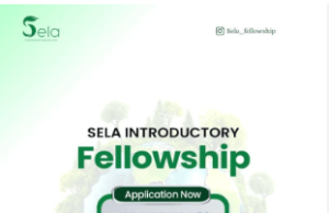 SELA Fellowship 2026: Empower Africa’s Next Generation of Sustainability Leaders with Skills, Mentorship, Networks and Practical Impact Opportunities sela-fellowship-2026:-empower-africa’s-next-generation-of-sustainability-leaders-with-skills,-mentorship,-networks-and-practical-impact-opportunities