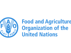 UN FAO Young Professionals Programme (YPP) 2026 un-fao-young-professionals-programme-(ypp) 2026