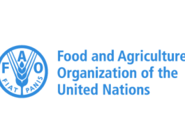 UN FAO Young Professionals Programme (YPP) 2026 un-fao-young-professionals-programme-(ypp) 2026