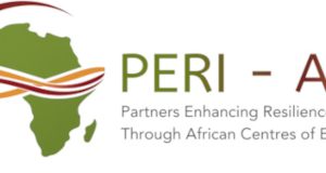 PERI-ACE Mobility and Scholarships Programme: 40 Opportunities for Emerging African Scholars peri-ace-mobility-and-scholarships-programme:-40-opportunities-for-emerging-african-scholars