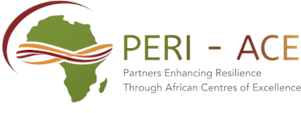 peri-ace-mobility-and-scholarships-programme:-40-opportunities-for-emerging-african-scholars peri-ace-mobility-and-scholarships-programme:-40-opportunities-for-emerging-african-scholars
