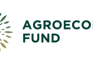 Agroecology Fund is Seeking a Remote Communications Specialist (Content Writer and Editor) – Apply By 31 August 2026 agroecology-fund-is-seeking-a-remote-communications-specialist-(content-writer-and-editor)-–-apply-by-31-august-2026