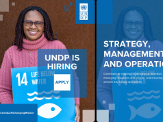 UNDP Jobs 2026 | 19 Opportunities in Strategy, Management and Operations (Aug-Sep) undp-jobs-2026-|-19-opportunities-in-strategy,-management-and-operations-(aug-sep)