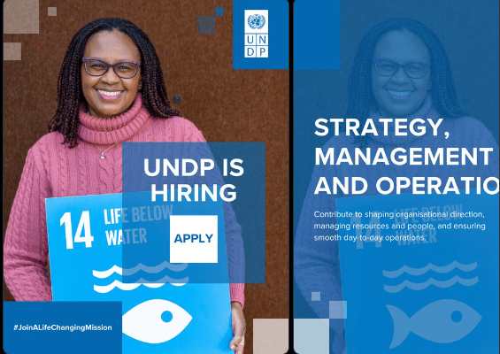undp-jobs-2026-|-19-opportunities-in-strategy,-management-and-operations-(aug-sep) undp-jobs-2026-|-19-opportunities-in-strategy,-management-and-operations-(aug-sep)