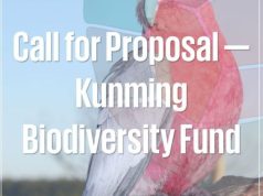 UNEP Kunming Biodiversity Fund 2026: Up to $800,000 for Biodiversity Conservation Projects unep-kunming-biodiversity-fund-2026:-up-to-$800,000-for-biodiversity-conservation-projects
