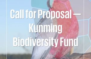 UNEP Kunming Biodiversity Fund 2026: Up to $800,000 for Biodiversity Conservation Projects unep-kunming-biodiversity-fund-2026:-up-to-$800,000-for-biodiversity-conservation-projects