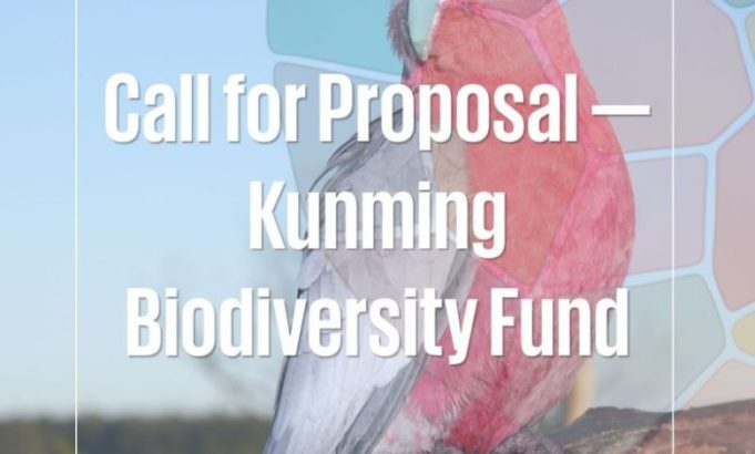 unep-kunming-biodiversity-fund-2026:-up-to-$800,000-for-biodiversity-conservation-projects