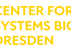 ELBE Postdoctoral Fellows Program 2026 – Fully Funded Research Fellowships in Germany elbe-postdoctoral-fellows-program-2026-–-fully-funded-research-fellowships-in-germany