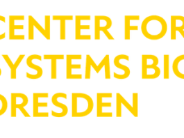ELBE Postdoctoral Fellows Program 2026 – Fully Funded Research Fellowships in Germany elbe-postdoctoral-fellows-program-2026-–-fully-funded-research-fellowships-in-germany