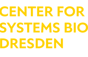 ELBE Postdoctoral Fellows Program 2026 – Fully Funded Research Fellowships in Germany elbe-postdoctoral-fellows-program-2026-–-fully-funded-research-fellowships-in-germany