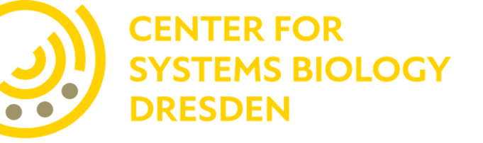 elbe-postdoctoral-fellows-program-2026-–-fully-funded-research-fellowships-in-germany