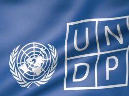 united-nations-development-programme-(undp)-seeks-a-digital-economies-analyst-–-apply-by-29-august-2026