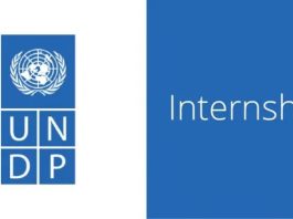 the-united-nations-development-programme-(undp)-is-inviting-applications-for-an-intern-–-inclusive-growth-in-south-africa.-apply-by-29-august-2026